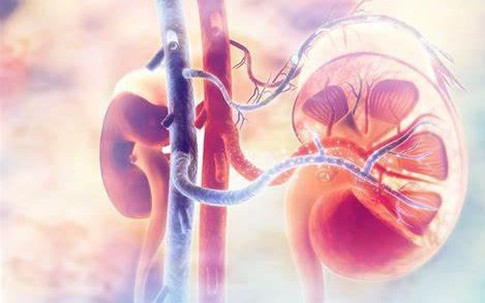 Người đàn ông 35 tuổi bị suy giảm chức năng thận vì bỏ qua 1 dấu hiệu nhiều người Việt mắc phải