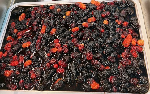 Cách ngâm dâu tằm để lâu không mốc hỏng và lên men cho mùa hè