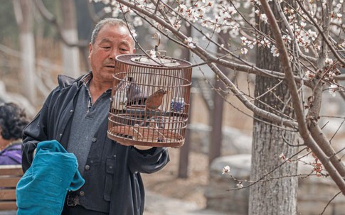 Cãi vã với con dâu, tôi tìm ra cách sống để tuổi già an yên, dễ thở hơn