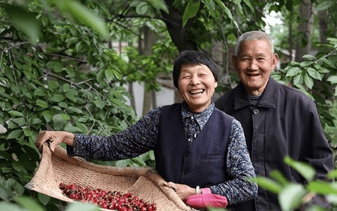 10 năm gửi tiền về quê báo hiếu cha mẹ, tôi sốc nặng khi thấy tài khoản chỉ còn 0 đồng