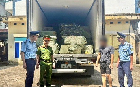 Phát hiện xe tải màu xám, công an Việt Nam lập tức theo dõi giám sát kiểm tra