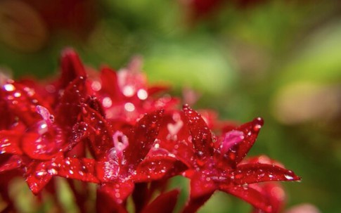 Ngày sinh Âm lịch của người có tài, ham học hỏi, trung niên dễ đổi đời ngoạn mục
