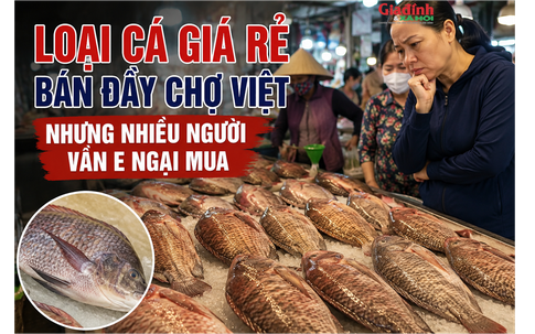 Loại cá giá rẻ bán đầy chợ Việt nhưng nhiều người vẫn e ngại mua