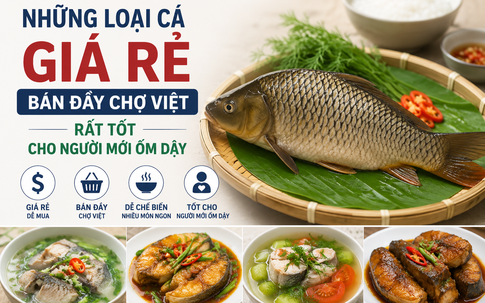 Những loại cá giá rẻ, bán đầy chợ Việt, dinh dưỡng rất tốt cho người mới ốm dậy