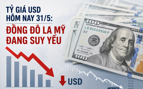 Tỷ giá USD hôm nay 31/5: Đồng Đô la Mỹ đang suy yếu