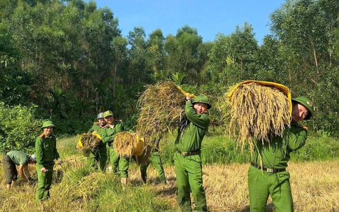 Công an, biên phòng giúp người dân miền núi thu hoạch lúa trước thời tiết bất lợi
