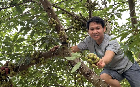 'Ông hoàng nhạc đỏ' mê làm nông, có nhà vườn rộng 4.000m²