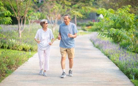 Chăm sóc sức khỏe não bộ trong nhịp sống hiện đại cùng hoạt huyết dưỡng não Traphaco