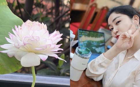 Hoa hậu Nguyễn Thị Huyền 'mát tay nuôi sen' trong vườn nhà
