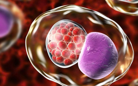 5 dấu hiệu cảnh báo nhiễm Chlamydia ở phụ nữ: Nhận biết sớm để phòng ngừa vô sinh