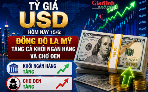 Tỷ giá USD hôm nay 15/6: Đồng Đô la Mỹ tăng cả khối ngân hàng và chợ đen