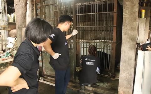Giải cứu 3 cá thể gấu ngựa từ Thái Nguyên, Hà Nội