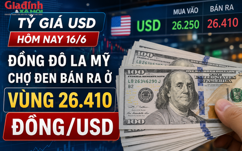 Tỷ giá USD hôm nay 16/6: Đồng Đô la Mỹ chợ đen bán ra ở vùng 26.410 đồng/USD
