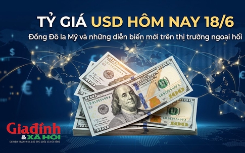 Tỷ giá USD hôm nay 18/6: Đồng Đô la Mỹ khối ngân hàng giảm nhẹ, chợ đen bán ra ở vùng 26.410 đồng/USD