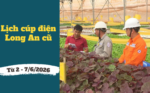 Lịch cúp điện Tây Ninh (Long An cũ) từ ngày 2 – 7/6/2026: Danh sách khu dân cư và tuyến đường bị mất điện xếp hàng dài