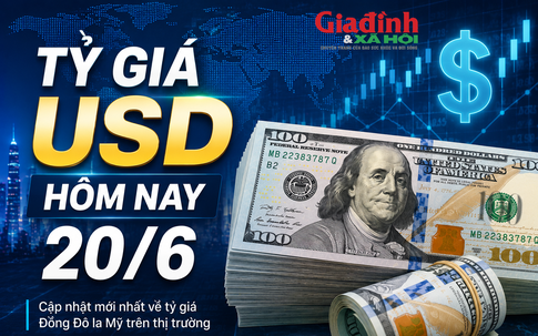 Tỷ giá USD hôm nay 20/6: Đồng Đô la Mỹ 'chợ đen' bán ra 26.600 đồng/USD