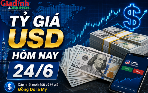 Tỷ giá USD hôm nay 24/6: Đồng Đô la Mỹ tiếp tục khẳng định vị thế