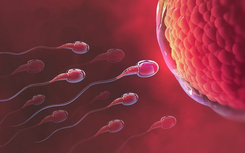 Nôn nóng có con, nhiều cặp vợ chồng vô tình giảm cơ hội thụ thai vì thói quen này