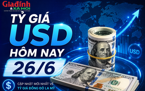 Tỷ giá USD hôm nay 26/6: Đồng Đô la Mỹ đồng loạt giảm cả khối ngân hàng và chợ đen