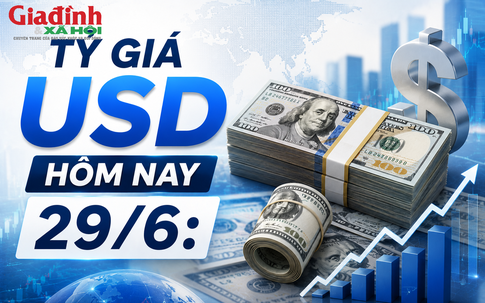 Tỷ giá USD hôm nay 29/6: Đồng Đô la Mỹ biến động trái chiều khối ngân hàng và 'chợ đen'