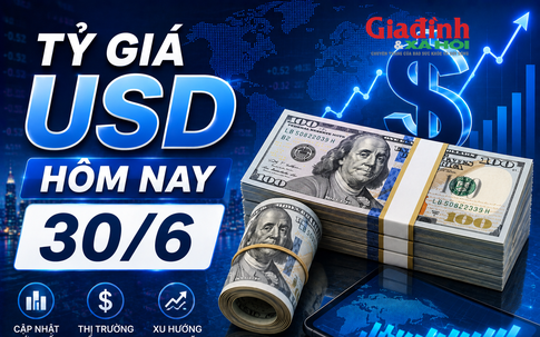 Tỷ giá USD hôm nay 30/6: Đồng Đô la Mỹ thị trường tự do tăng bật