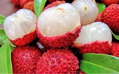 Loại quả mùa hè được chuyên gia Mỹ đánh giá cao, bán đầy chợ Việt, ăn đúng cách mang lại nhiều lợi ích sức khỏe, sống thọ