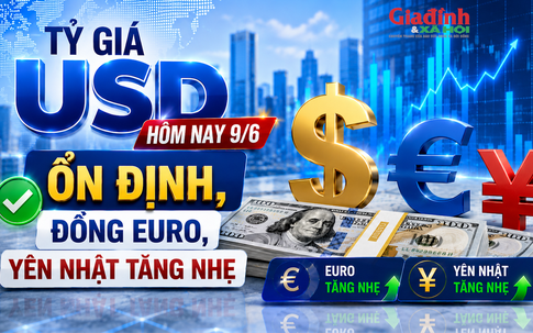 Tỷ giá USD hôm nay 9/6 ổn định, đồng EURO, Yên Nhật tăng nhẹ