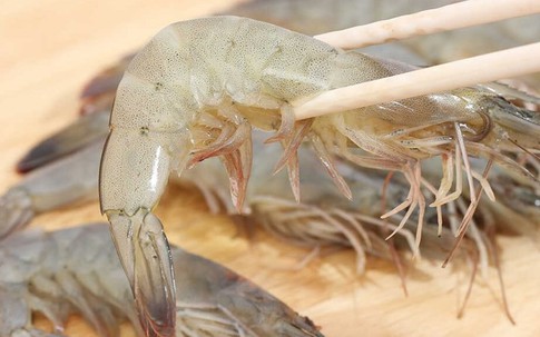 Những ai nên bổ sung tôm lớt vào chế độ ăn và lưu ý cần biết?