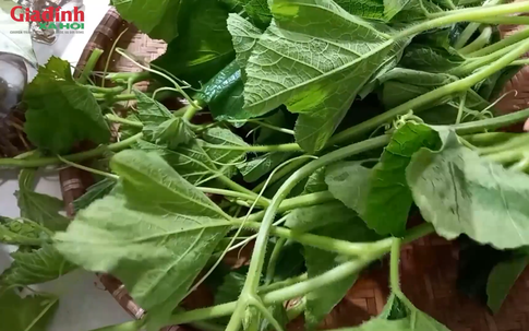 Loại rau mọc um tùm khắp vườn quê, trước ít người ăn, nay thành đặc sản nhiều người tìm mua