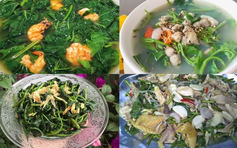 Loại rau quen thuộc trên mâm cơm Việt được nghiên cứu có thể hỗ trợ ngừa gan nhiễm mỡ, tiền tiểu đường