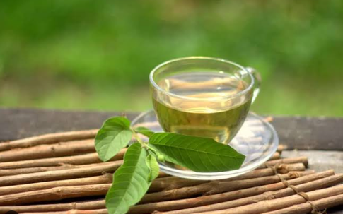 Có nên uống nước lá ổi mỗi ngày? Cách nấu an toàn, hiệu quả
