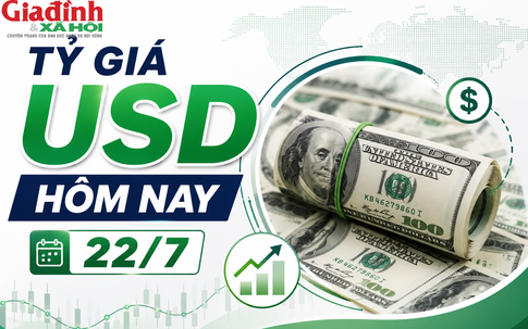 Tỷ giá USD hôm nay 22/7: Đồng tiền chủ chốt USD, EUR, JPY, GBP, CAD, SEK, CHF đã tăng giảm thế nào?