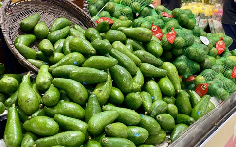 Tiểu thương bật mí cách chọn bơ chín đều, dẻo mịn, không sợ đắng