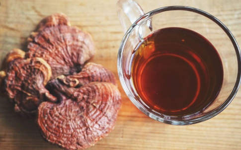 Cách sử dụng nấm linh chi đúng và an toàn