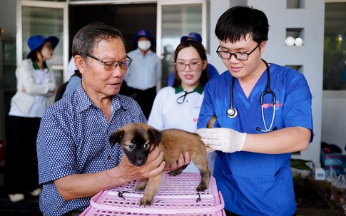 Hà Nội mở rộng điểm tiêm vắc xin dại đến tận xã, phường, hỗ trợ kinh phí điều trị cho người dân sau phơi nhiễm bệnh dại