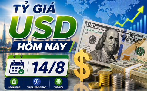 Tỷ giá USD hôm nay 14/8: Đồng Đô la Mỹ khối ngân hàng thương mại đảo chiều tăng