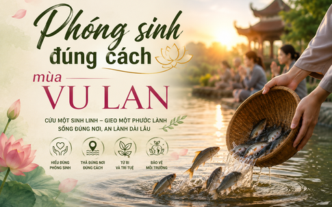 Phóng sinh mùa Vu Lan 2026: Cứ mua con vật rồi thả có thực sự là tốt?  