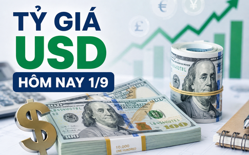 Tỷ giá USD hôm nay 1/9