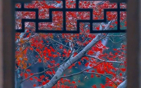 Tháng sinh Âm lịch của đứa trẻ có nhiều phúc khí: Càng trưởng thành càng sáng vận