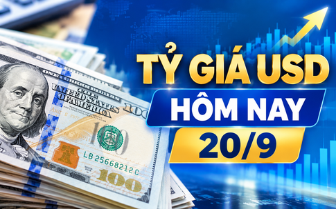 Tỷ giá USD hôm nay 20/9: Đồng Đô la Mỹ đi ngang cả ngân hàng và chợ đen