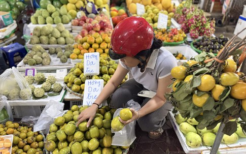 Hồng da tre có gì đặc biệt mà giá gần 200.000 đồng/kg vẫn được chị em thi nhau ‘săn đón’?