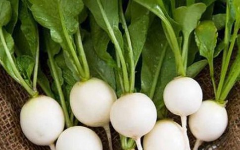 Lợi ích của củ cải trắng với sức khỏe, đặc biệt với người tiểu đường, viêm khớp