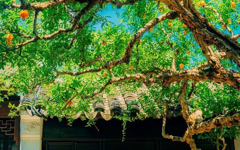 3 ngày sinh Âm lịch được ví như ‘chìa khóa tài lộc’, hậu vận cực an nhàn