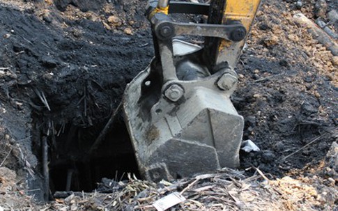 Khởi tố vụ án khai thác than trái phép tại Đông Triều