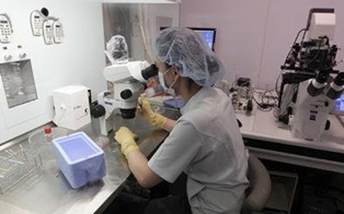 Phụ nữ Đài Loan thích để đông lạnh trứng, sinh con muộn