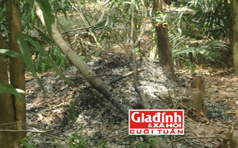 Uẩn khúc đằng sau nghi án quẫn trí vì nợ nần khiến người đàn ông treo cổ tự tử trong vườn tràm