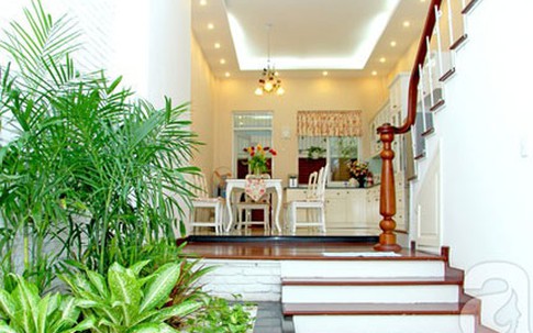 Choáng ngợp trước ngôi nhà "triệu hoa" ở trung tâm Đà Nẵng