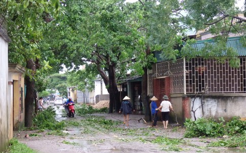 Thanh Hóa: Thiệt hại ban đầu do bão số 6 gây ra ước tính 167 tỷ đồng