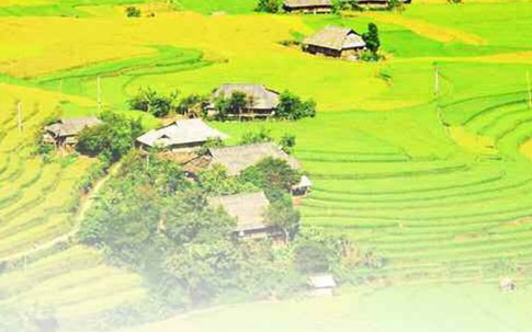 Áo trắng "cắm bản"