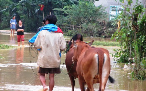 Hương Sơn, Hà Tĩnh: Dân xót xa thu dọn sau lũ dữ